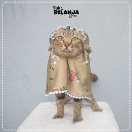 Produk Perlengkapan Kucing Premium #41