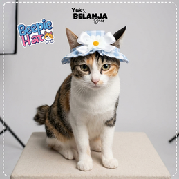 Produk Perlengkapan Kucing Premium #9