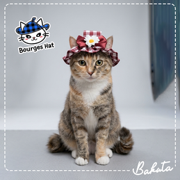Produk Perlengkapan Kucing Premium #85