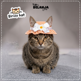 Produk Perlengkapan Anjing Premium #14