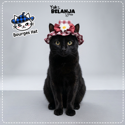 Produk Perlengkapan Anjing Premium #18