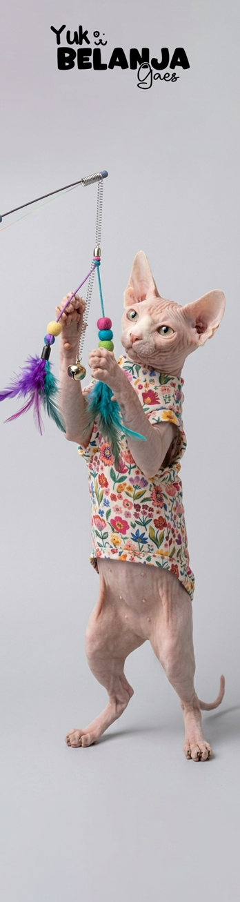 Iklan Makanan Kucing